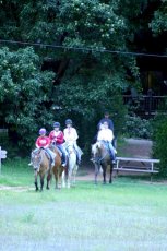 family horse ride