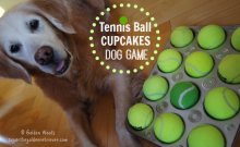Tennis Ball Cupcakes Dog Game