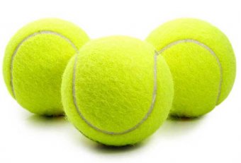 Are tennis balls safe for dogs