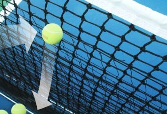 Ball Magnet tennis Net