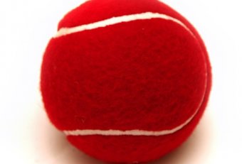 Buy tennis Cricket balls