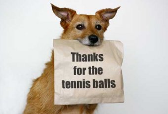 Can tennis balls be recycled?