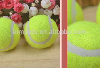 Cat Toy tennis ball