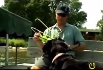 Dog catapult tennis ball