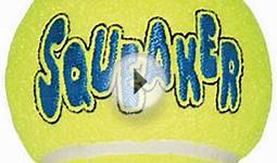Air Squeaker Tennis Balls Dog Toy (806404)