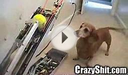 Automatic Dog Tennis Ball Thrower