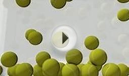 clip 11037331: Tennis ball animation filling up spaces