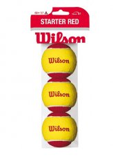 Wilson Starter Easy Balls